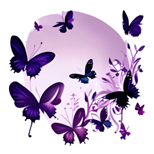 Purple Vision Limited